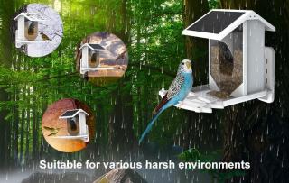 AI Nest Eyes - Smart Bird Feeder - Wifi
