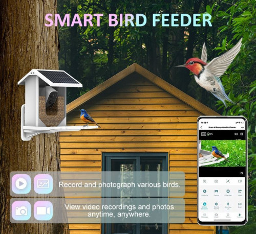 AI Nest Eyes - Smart Bird Feeder - Wifi